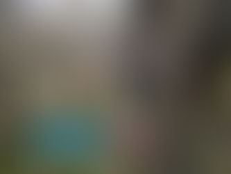 EL PAÍS SIGUE SIENDO TIERRA DE NADIE