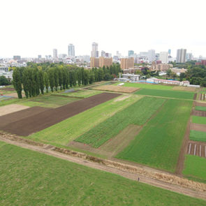 DJI_0241.JPG
