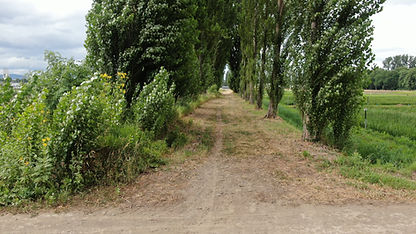 DJI_0214.JPG