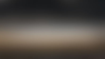 Life and Death of a Twenty Dollar Bill