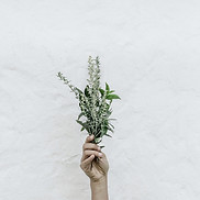 nordwood-themes-FnOoRU-PYio-unsplash%20(