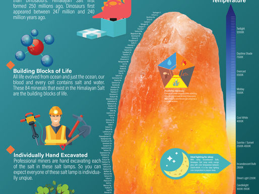 Salt Lamps Infographic