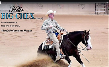 Hello Big Chex.jpeg