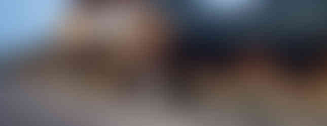 BoomTown Brewery & Woodfire Grill