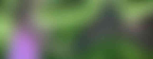 Wildwood Wildlife Zoo and Safari