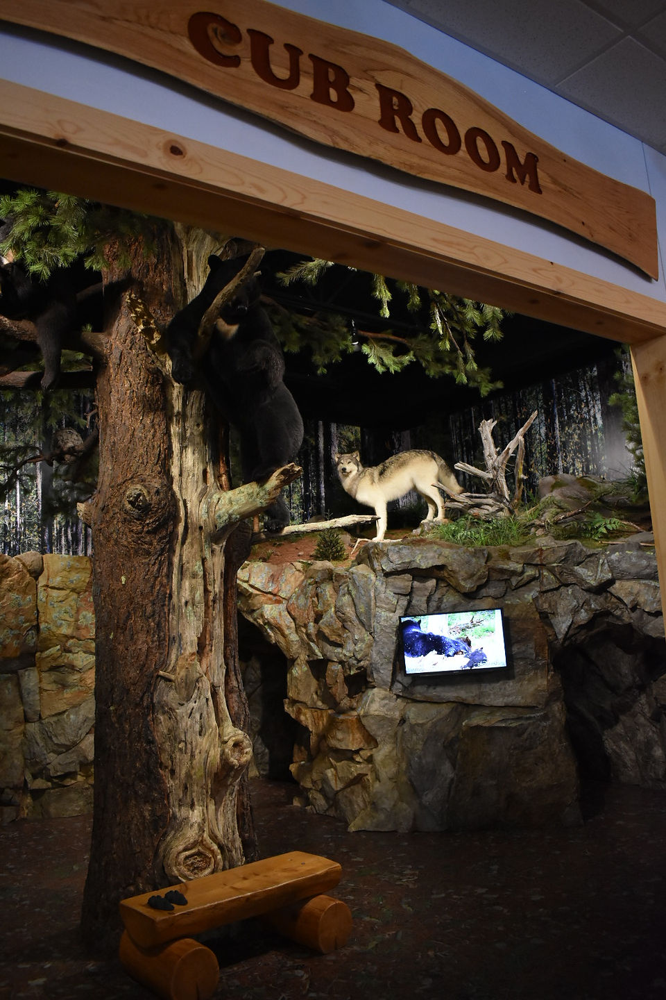 Cub Room