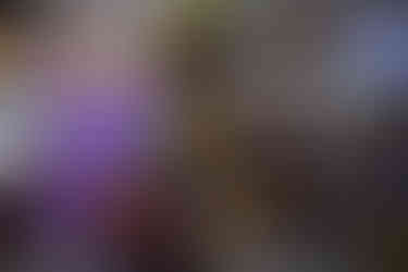 SweetPea Emporium in McHenry, IL