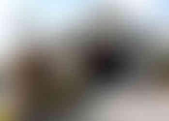 Goebbert's Farm Market in Pingree Grove, Illinois