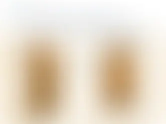 Flush Doors vs Veneer Doors: What Builders Prefer for Large Construction Projects