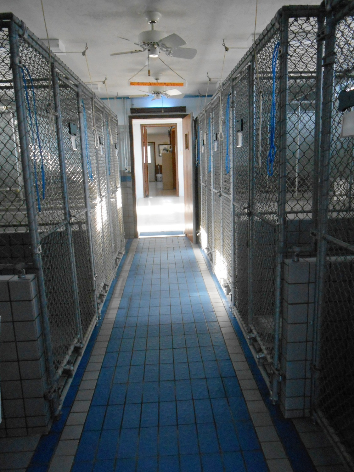 Fullscreen Page millstonekennel