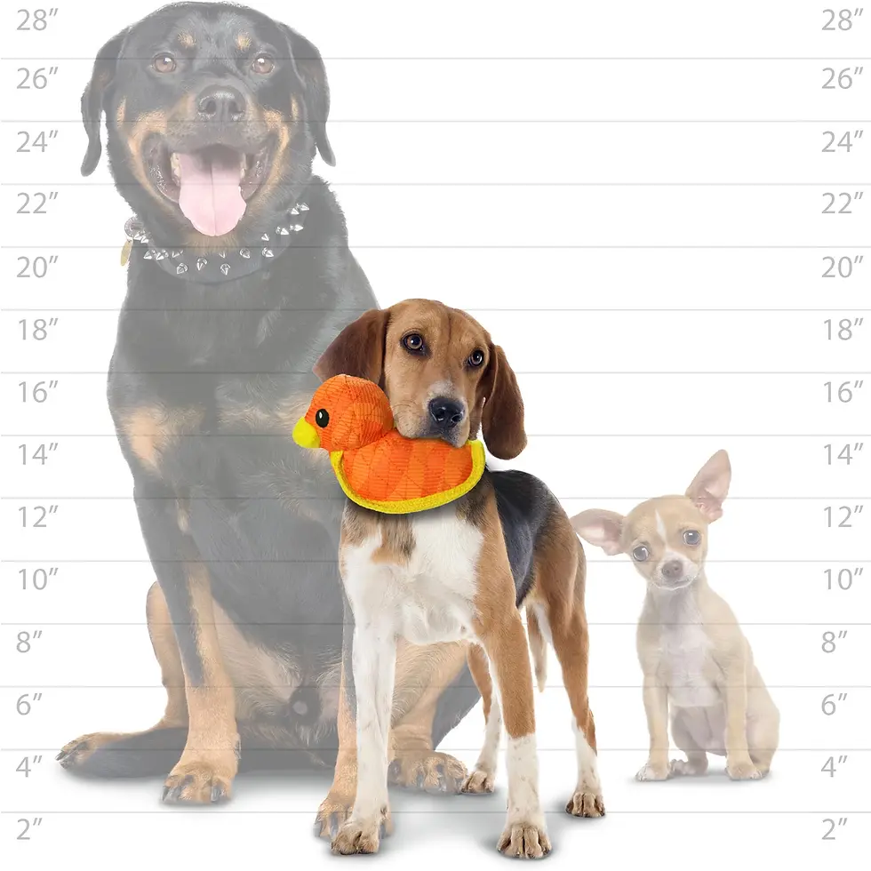 Miniatura: TUFFY ® DuraForce Papera
