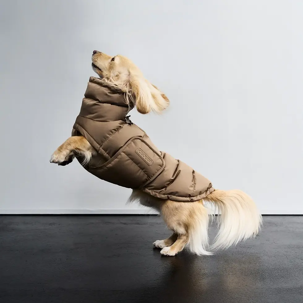 Miniatura: CLOUD7 Cappotto Bassotto Alaska Light