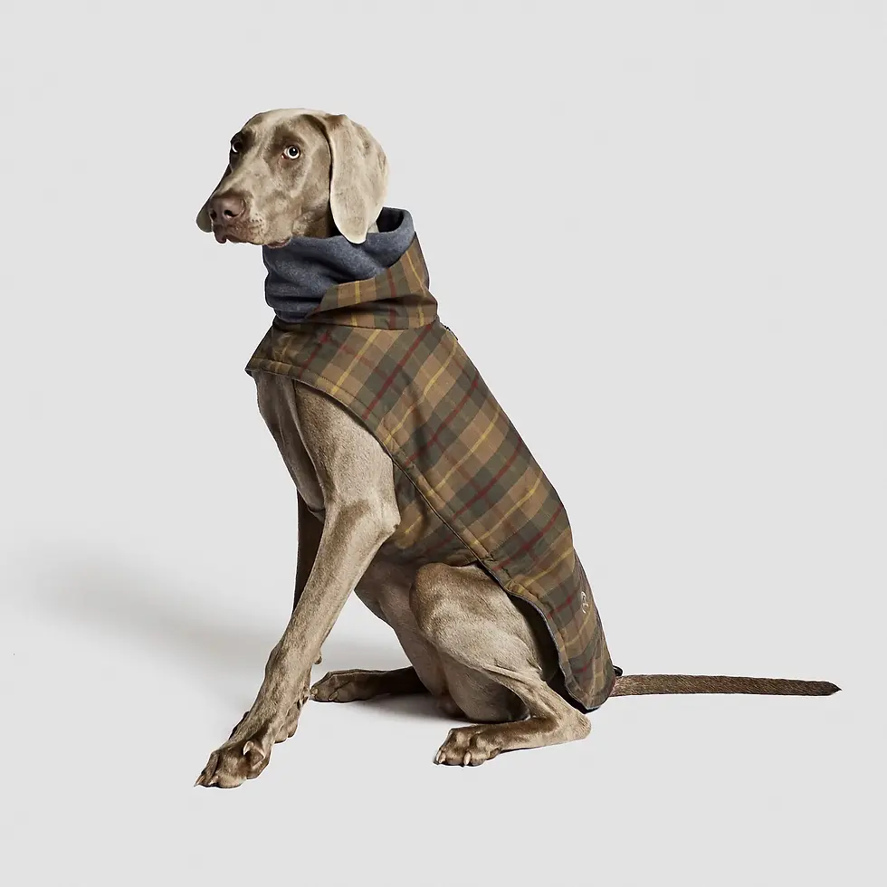 Miniatura: CLOUD7 cappotto Brooklyn