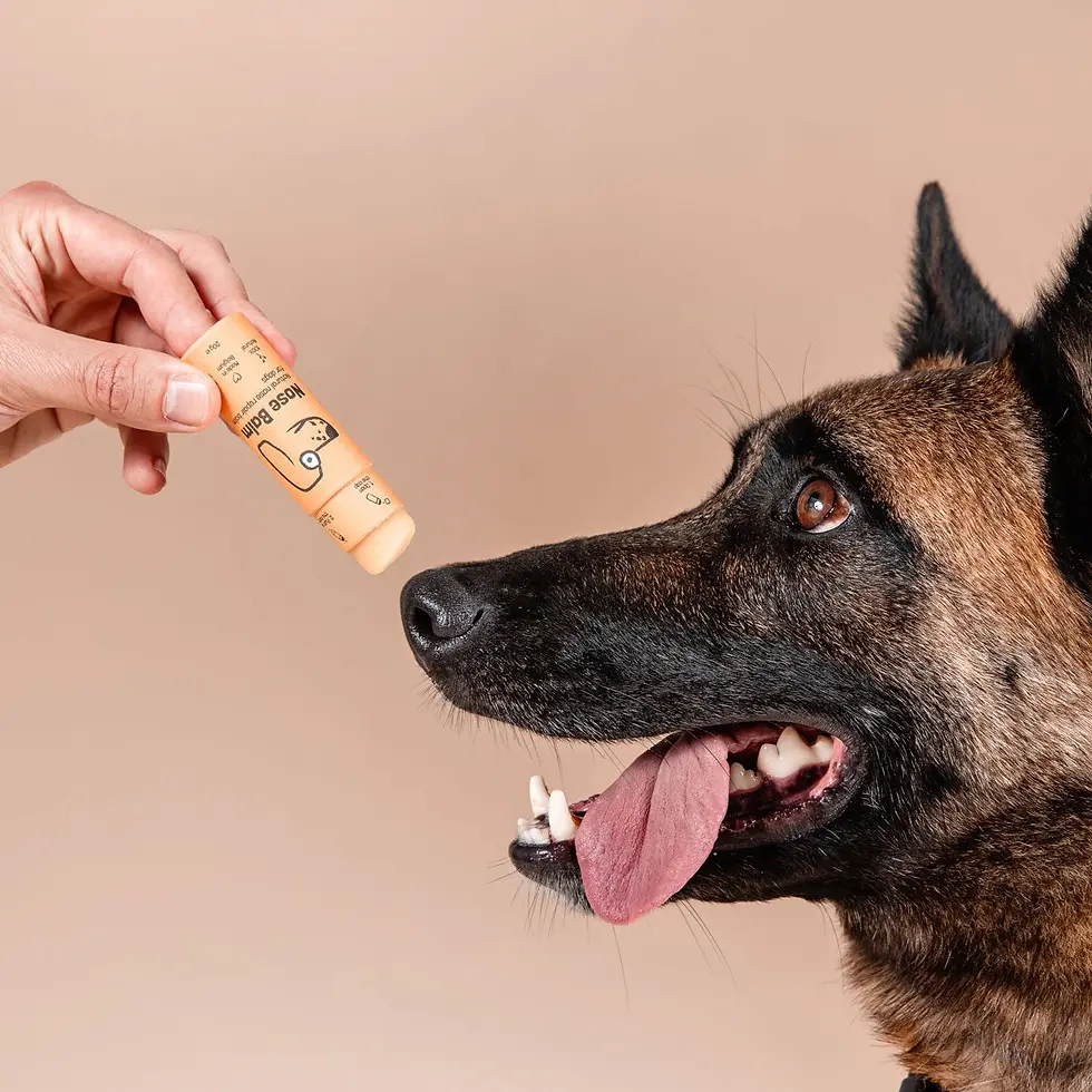 Miniatura: BUTCHCARE Balsamo per il naso in stick