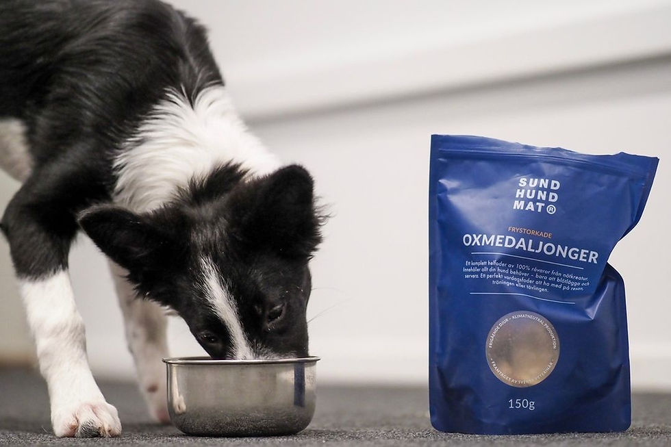 Miniatura: Medaglioni di manzo liofilizzato