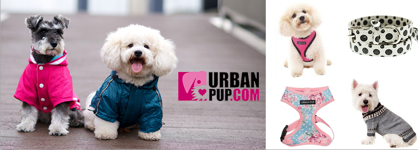 Urban PUP