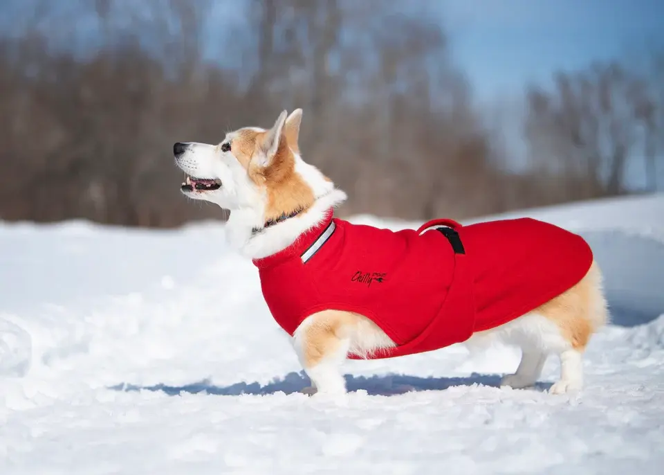 Miniatura: CHILLYDOGS Sweater ™ Maglione in pile