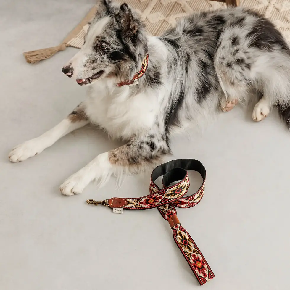 Miniatura: BUDDYS DOGWEAR Peyote Collare
