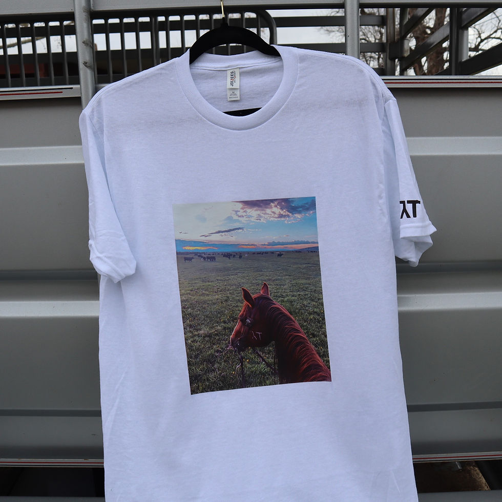 Thumbnail: NOT A STORM IN SIGHT TSHIRT