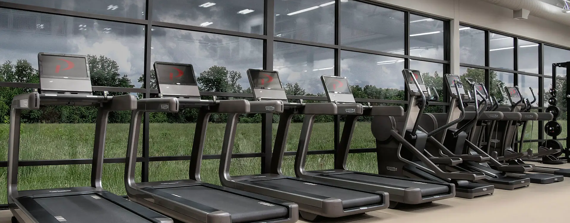 treadmills in gym club