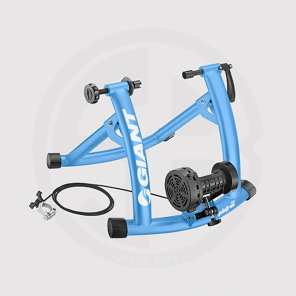 CYCLOTRON MAGとTRAINER RISER BLOCK-