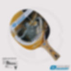 Donic 300 Table Tennis Racket