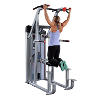 Assisted Chin Up and Dip Machine