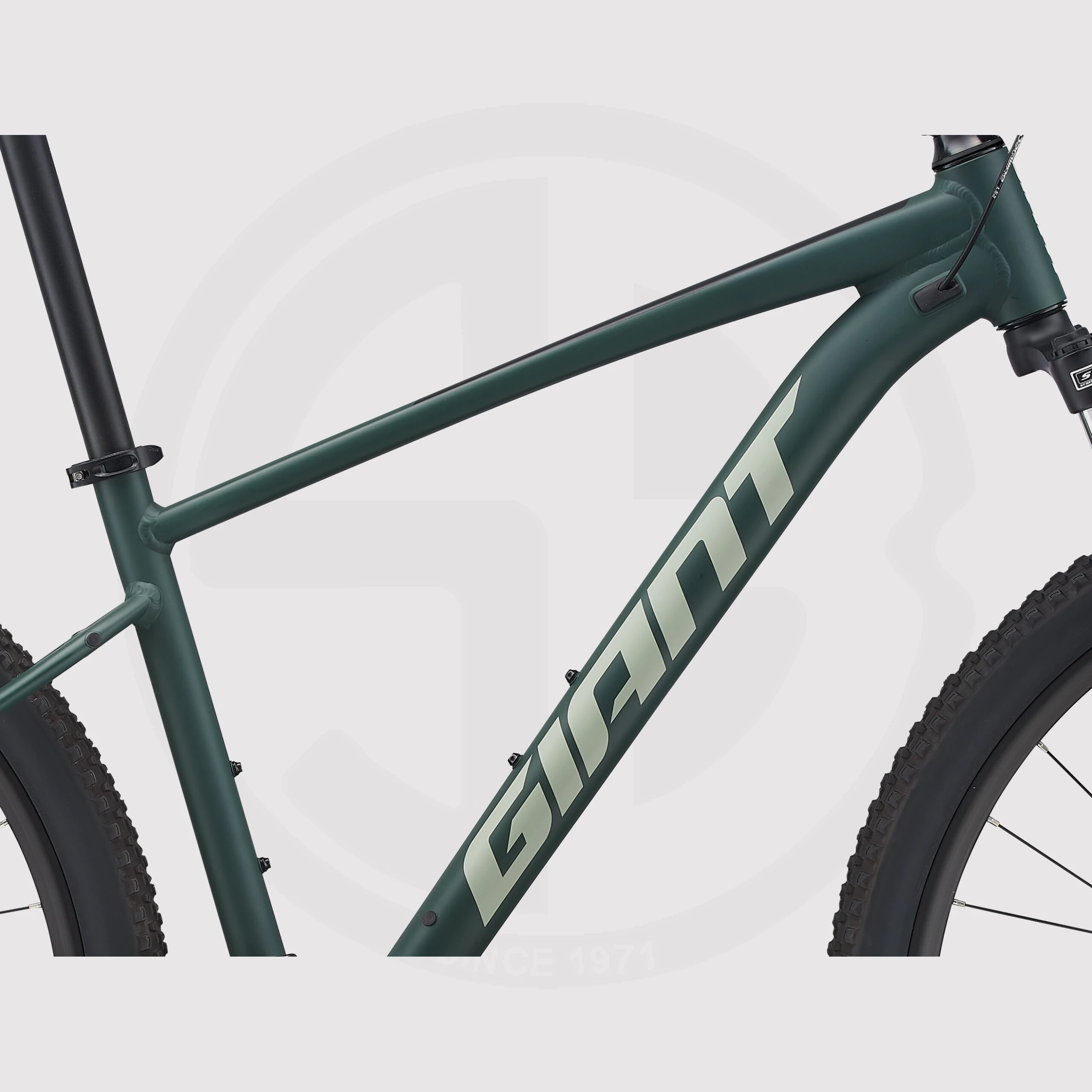 Giant Talon 3 2021 Mountain Bike 