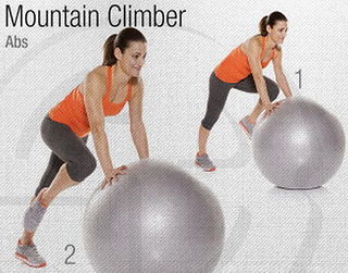 Mountain Climber Stability Ball Circuit Workout
