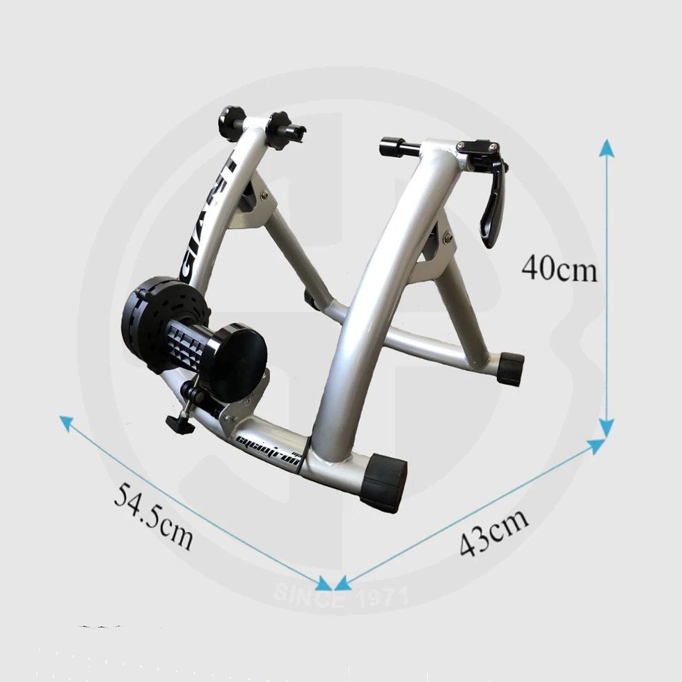 Thumbnail: Giant Cyclotron MAG ll trainer, training roller, White Gray color