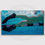 Thumbnail: DragSox Will Make You a Faster Swimmer