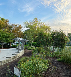 Charleston Parks Conservancy