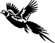 pheasant 2.png