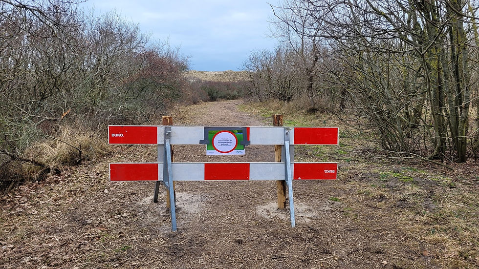 Directrice Wandelnet pleit voor 15.000 kilometer extra wandelpad