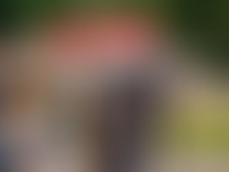 Prishöjning och annat smått och gott!