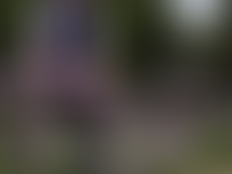 Dressyrträning för Peter Härnstam