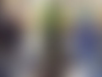 "Зелена Коледа" продължава, засадиха елха и в Езиковата