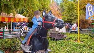 5. race horse - editada.jpg