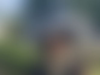 Elaine Farrell-Cummings