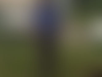 Michael Stephen Agard