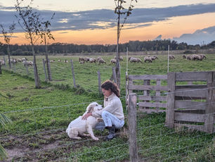 Vesper notre nouvelle Patou