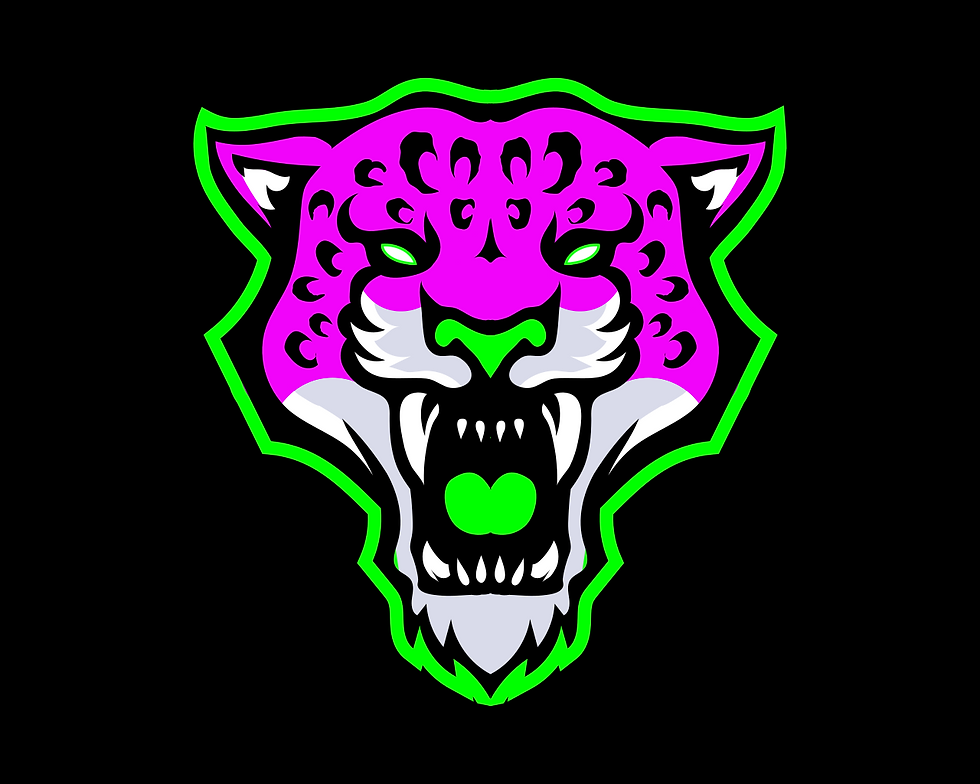 Resilience Progressive Self Defence Training