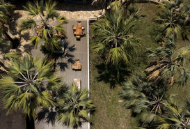 2 Day Tanzania Safari from Zanzibar Luxury lodge at Tarangire National Park.