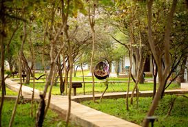 2 Day Tanzania Safari from Zanzibar Midrange lodge at Nyerere National Park.