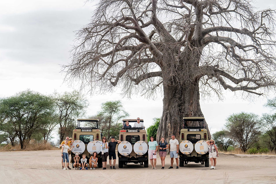 Travelers on a 2 day Tanzania safari from Zanzibar