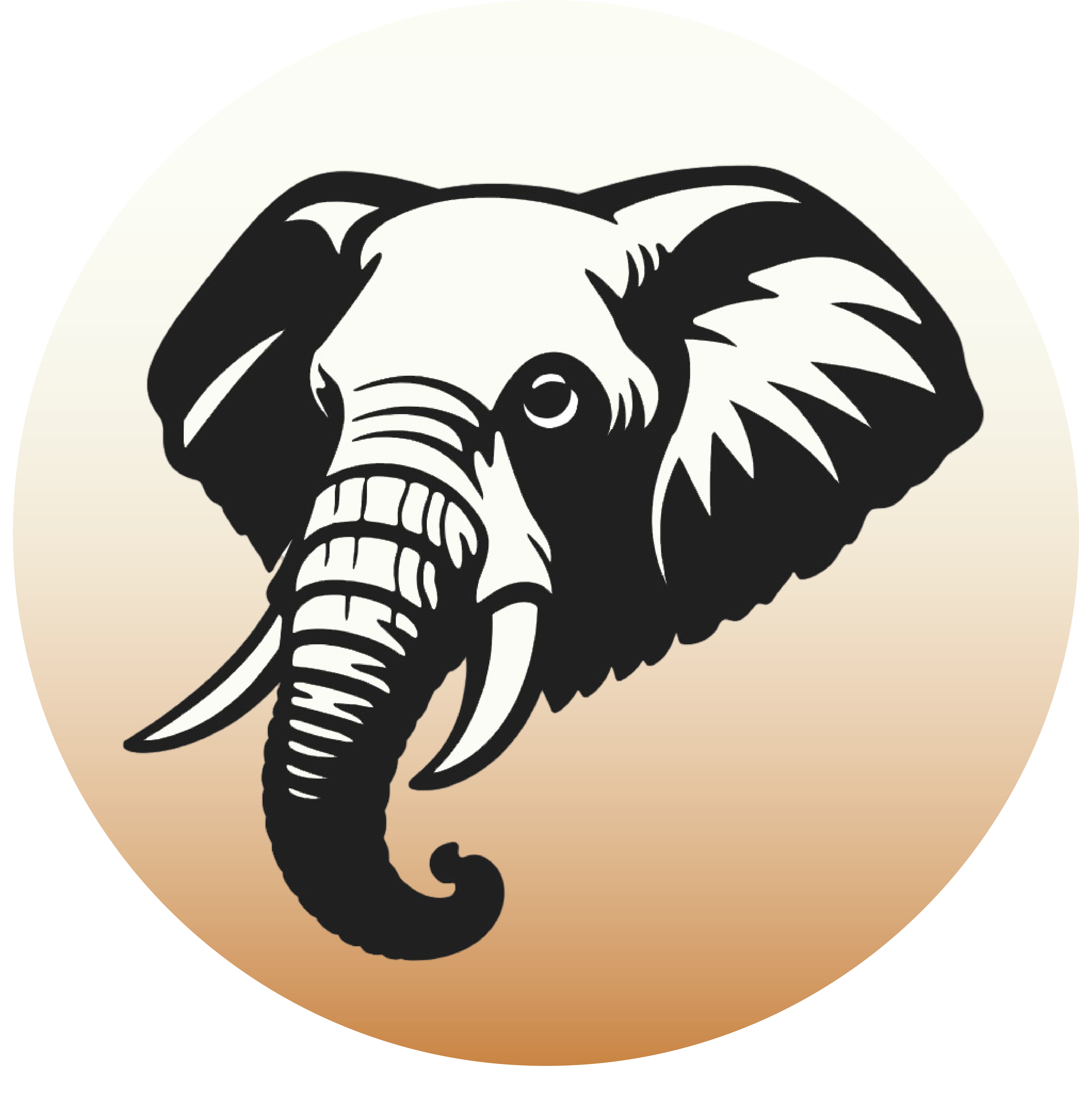 BRAND ICON.png