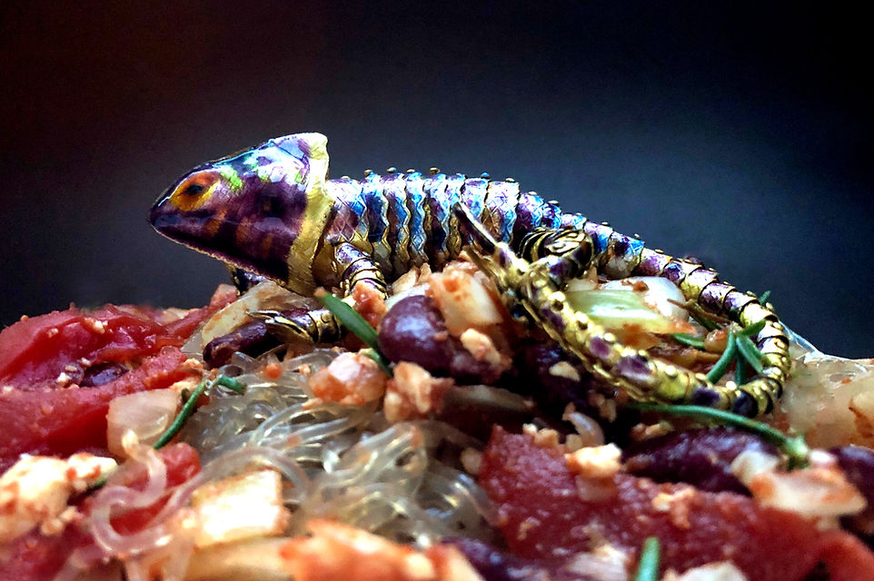 Chameleon, glass noodles, rainbow, siting on hill