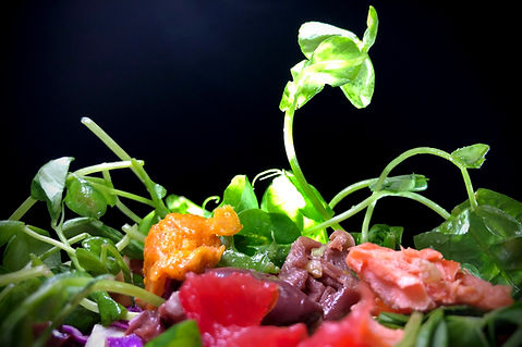 Salmon, Fish, Polar Bear, Food Photography, Dinner, Quarantine Project