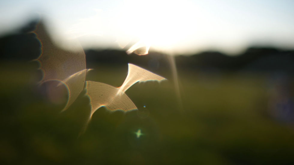 3. A Hidden warmth between the particles Clear Sunset Jamie Pazmino.jpg