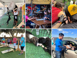 Join the PVAS Community: Exciting New Event Pages on Instagram and Facebook!